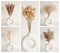 Natural Dried Pampas Grass Decor, 110 PCS Pampas Grass Contains White Bunny Tails Dried Flowers, Artificial Flowers for Bathroom Decor, Bathroom Wall Decor, Office Decor and Baby Shower Decorations